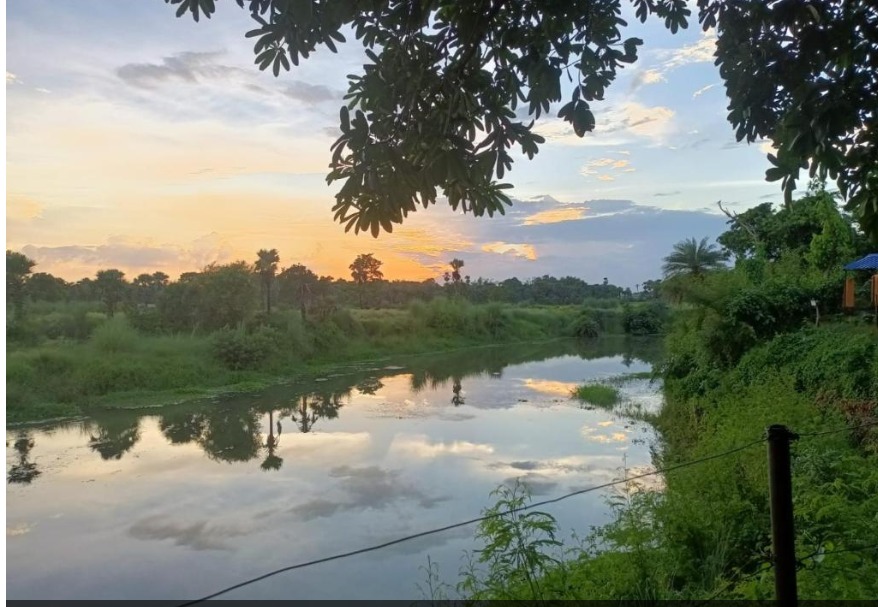 Experience Neel Nirjan in Motion.